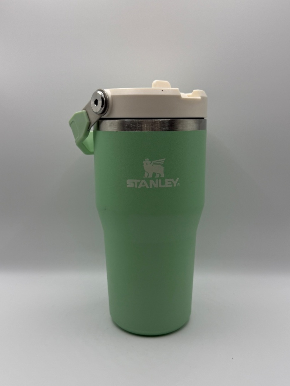 Stanley IceFlow Flip Straw 20oz Pistachio Tumbler w/ Handle & Straw